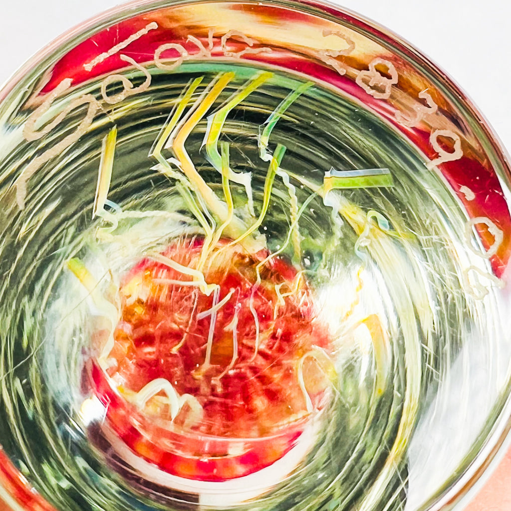 Richard Satava Art Glass Ruby Moon Jellyfish Sculpture Signed | 2839-06