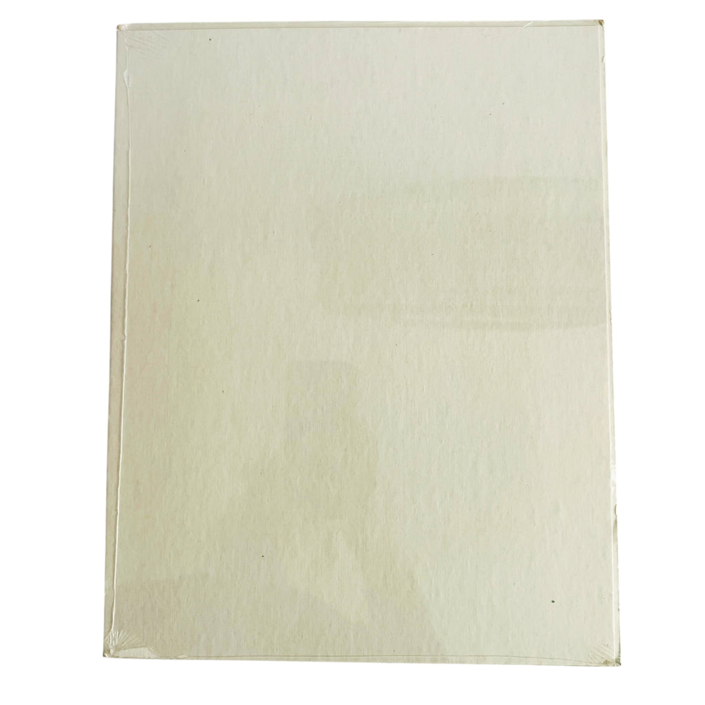 Vintage 1993 The Flintstones Hanna Barbera Betty Sealed Wrap Picture