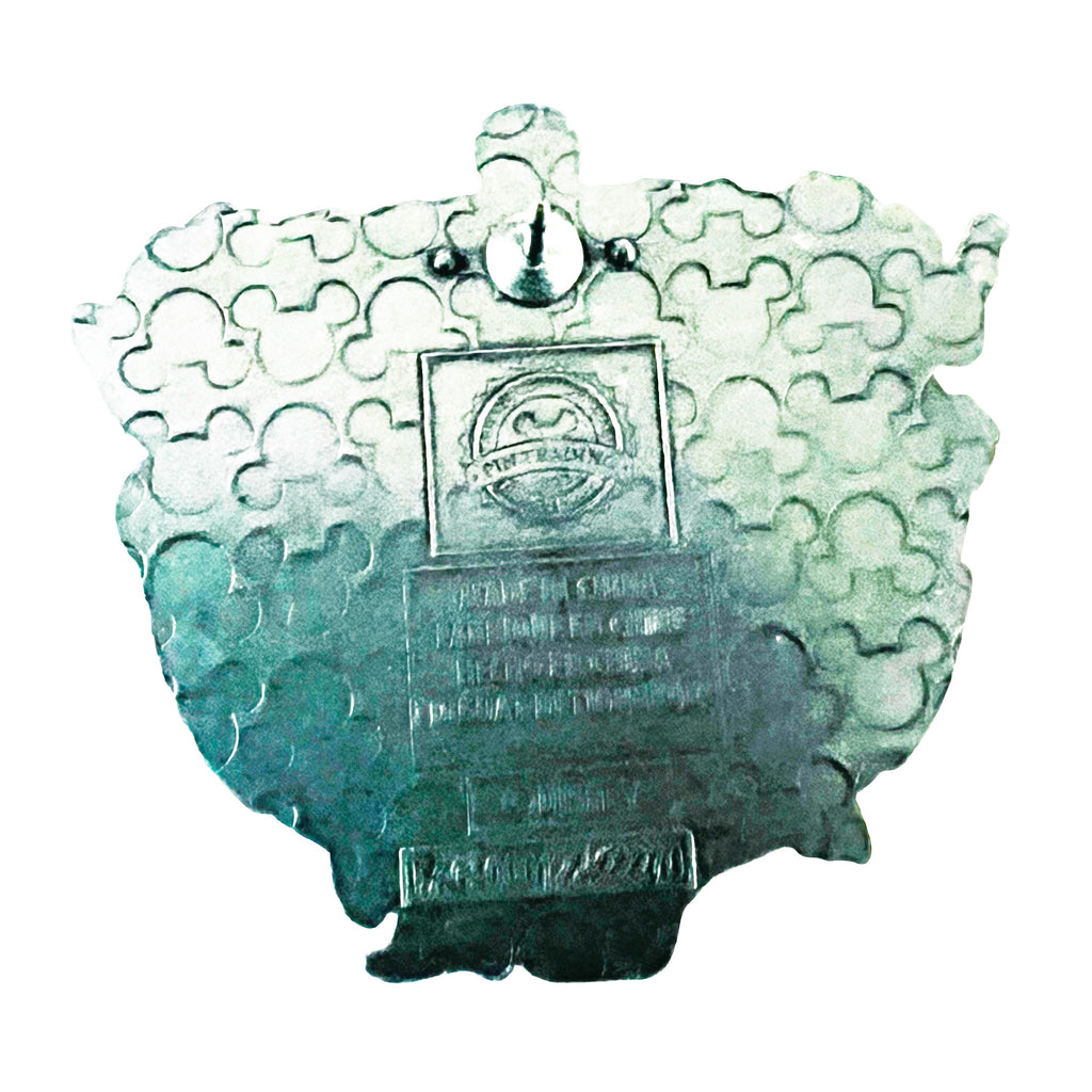 Disneyland Pirates Of The Caribbean Skull Pin