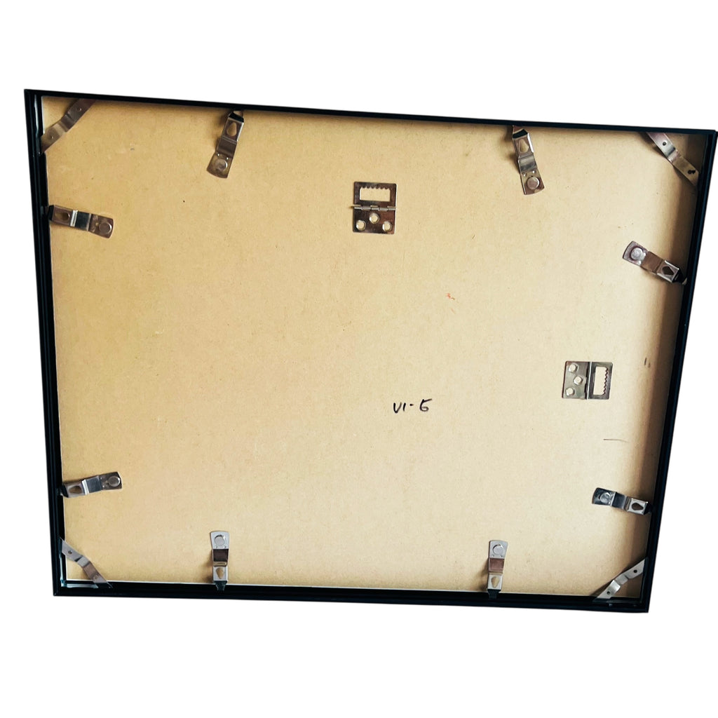 Laurent Baheux After The Nap Lion Art Photography Print Glass Black Framed