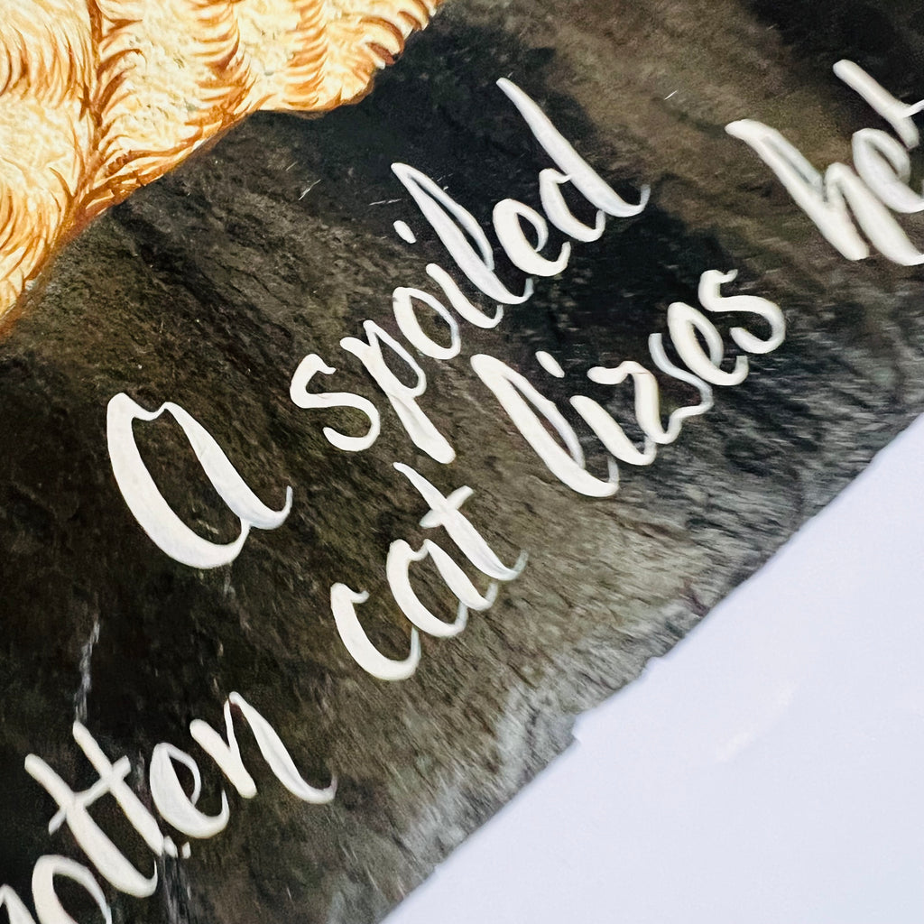 Cheshire Cat Welcome Slate Hanging Sign