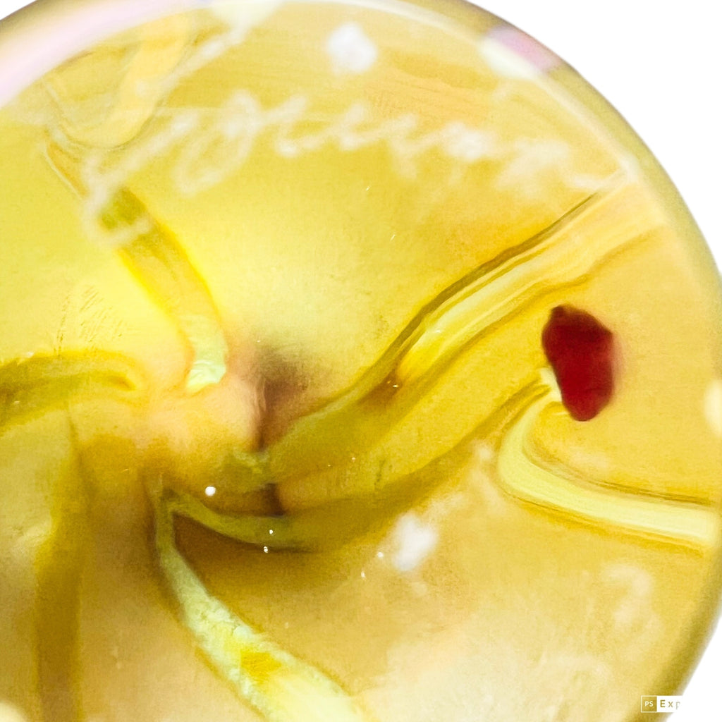 Vintage Heart Design Iridescent Matte Hand Blown Egg Signed Paperweight