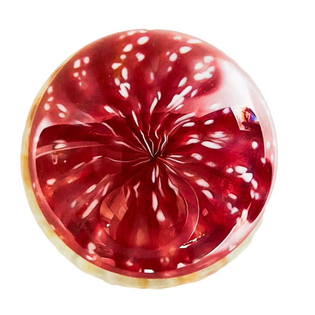 Richard Satava Art Glass Ruby Moon Jellyfish Sculpture Signed | 2839-06