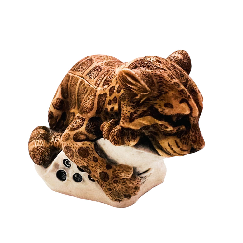 Harmony Kingdom "Sweet Spot” Leopard Box Figurine