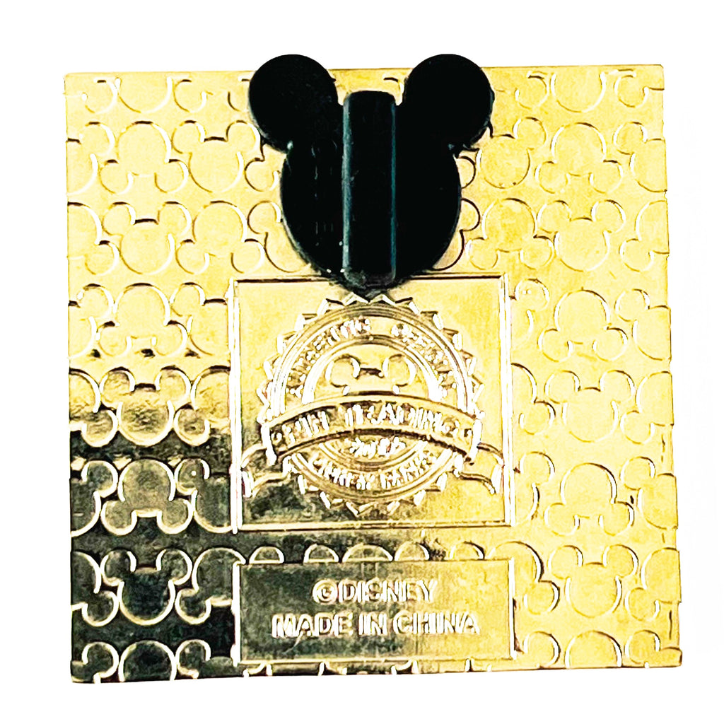 Disney Chip & Dale Squares with Names with series error Pin