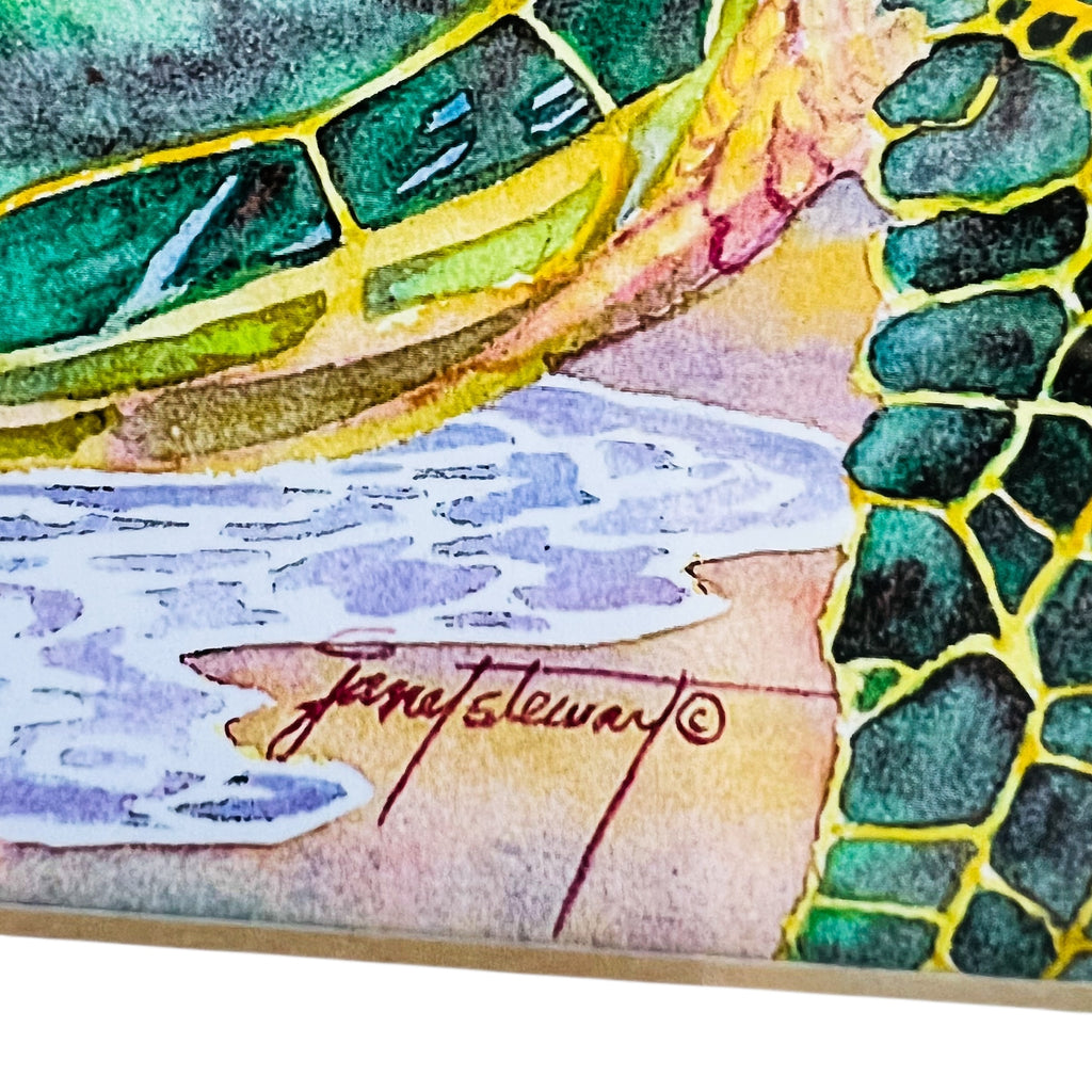 William & Zimmer The Turtle Nap Hawaiian Child Wood Framed