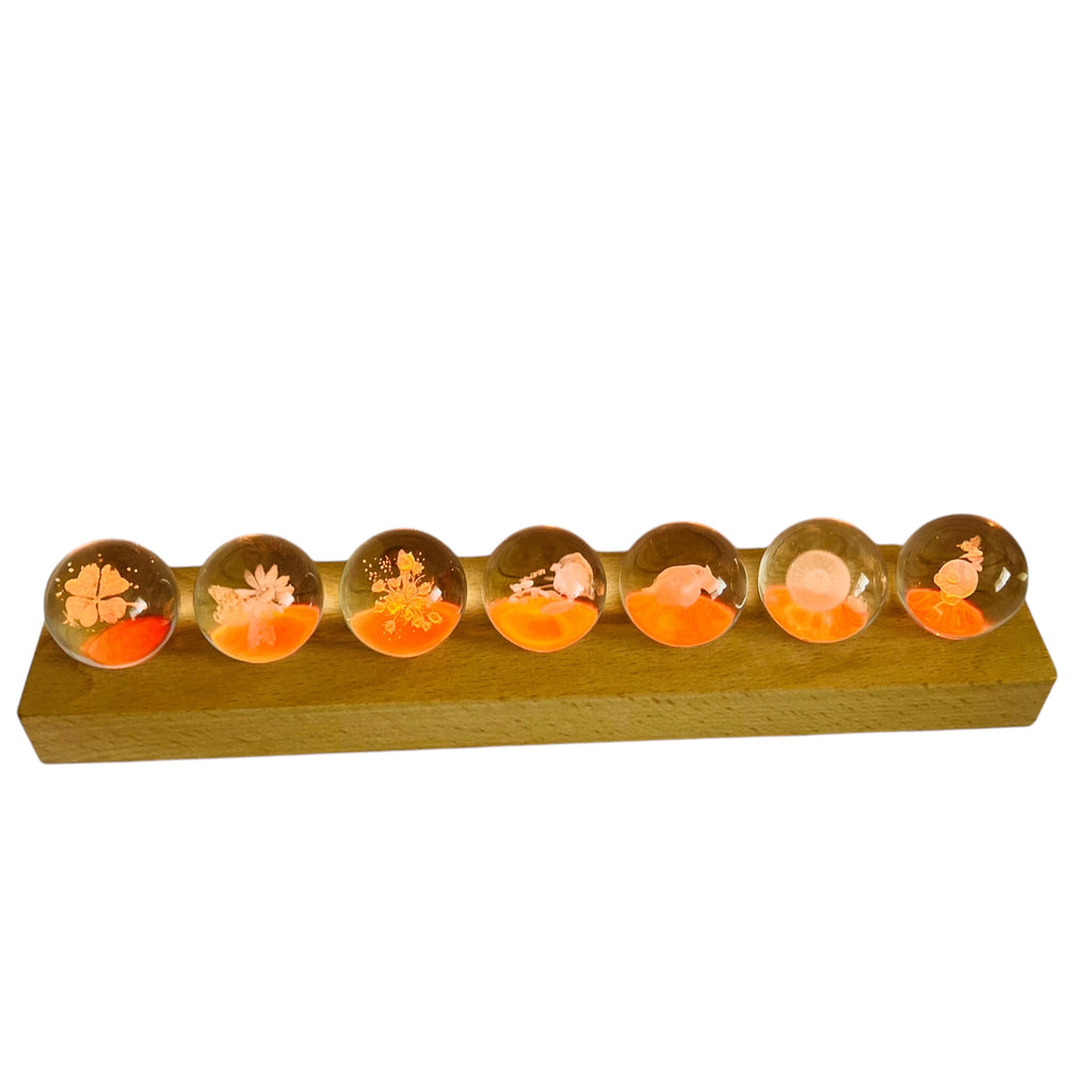 3d Crystal Ball Plants System Crystal Ball with Led Lamp Base