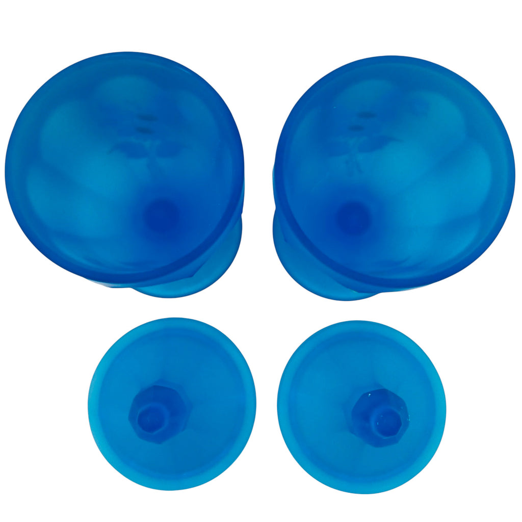 Westmoreland Blue Satin Hand Painted Daisies Lidded Candy Jars -Pair