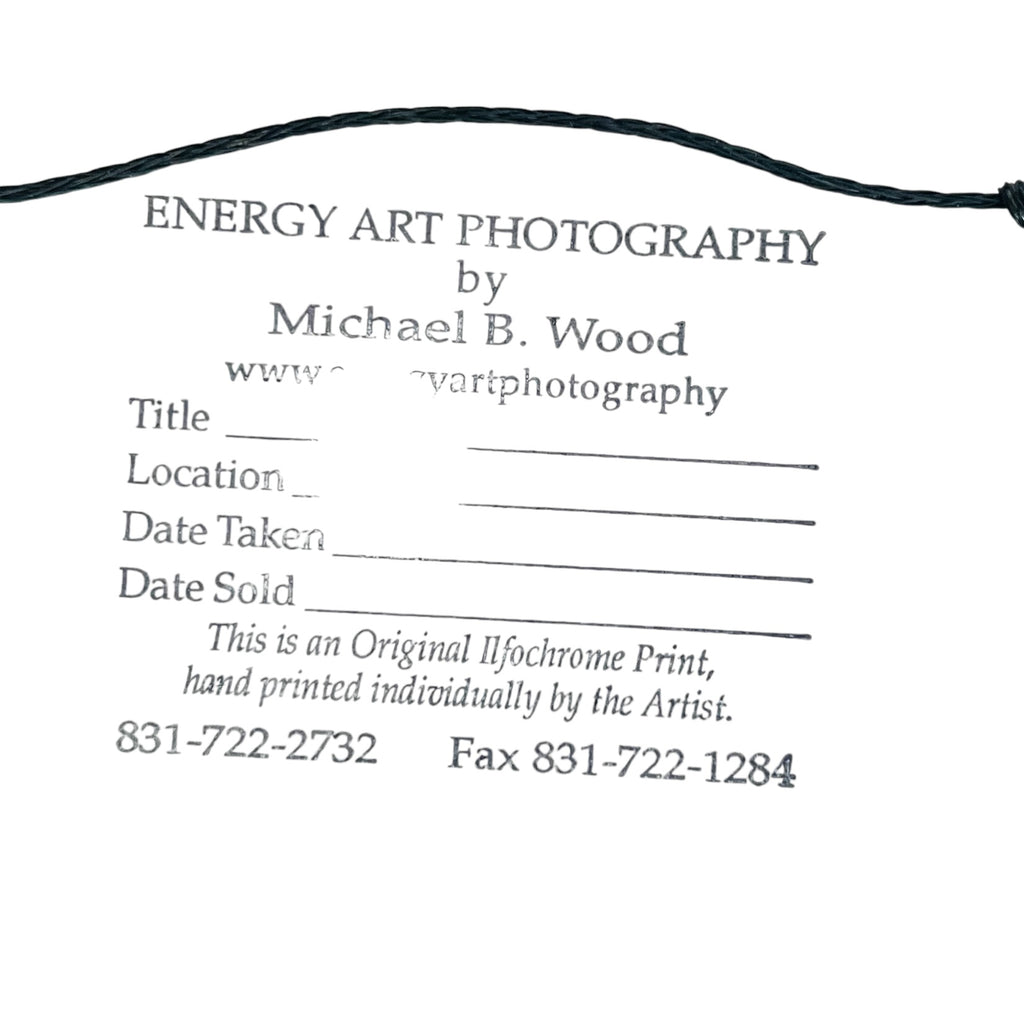 Michael B. Wood Golden Gate Bridge Metal Framed Signed Art