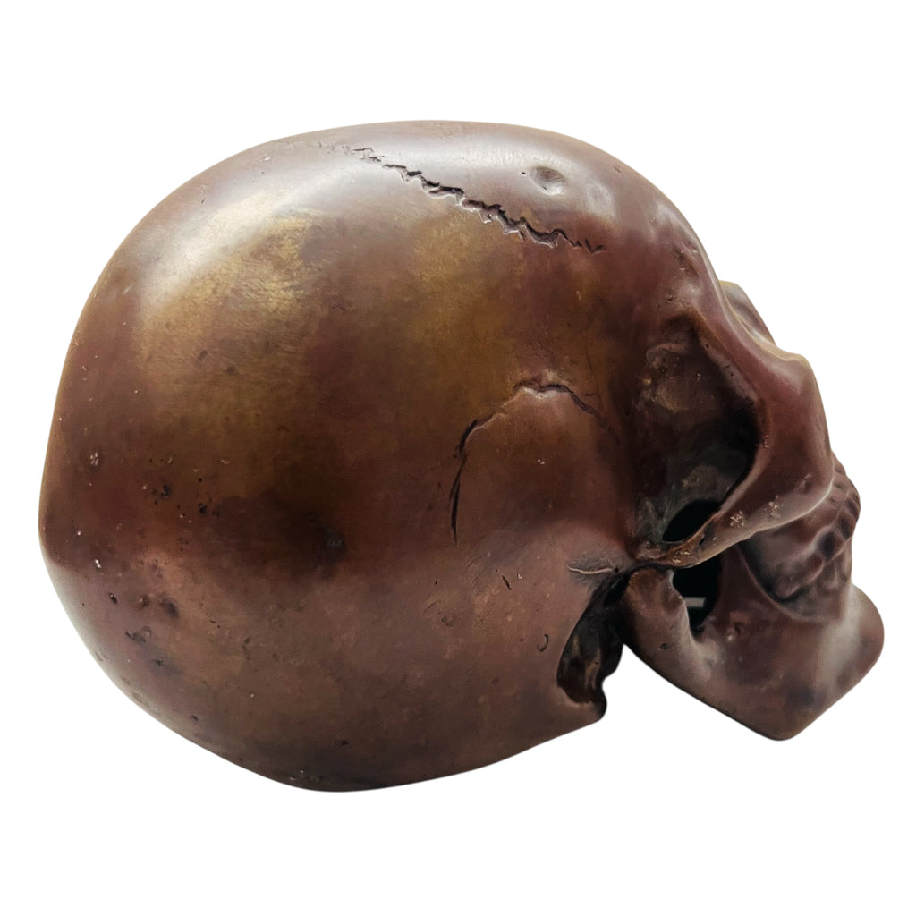 Skull Head Metal Display Decor Statue Figure