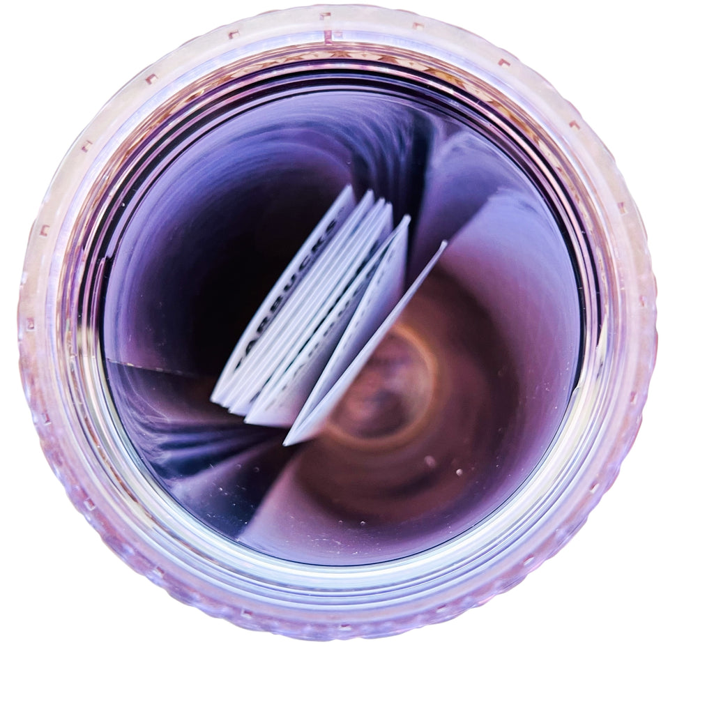 2025 Disneyland 70th Anniversary Starbucks Disney Purple Tumbler