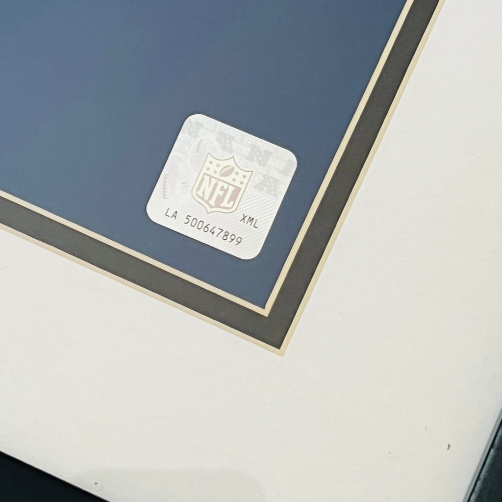 NFL Los Angeles Rams PhotoFile 2017 Matted Framed