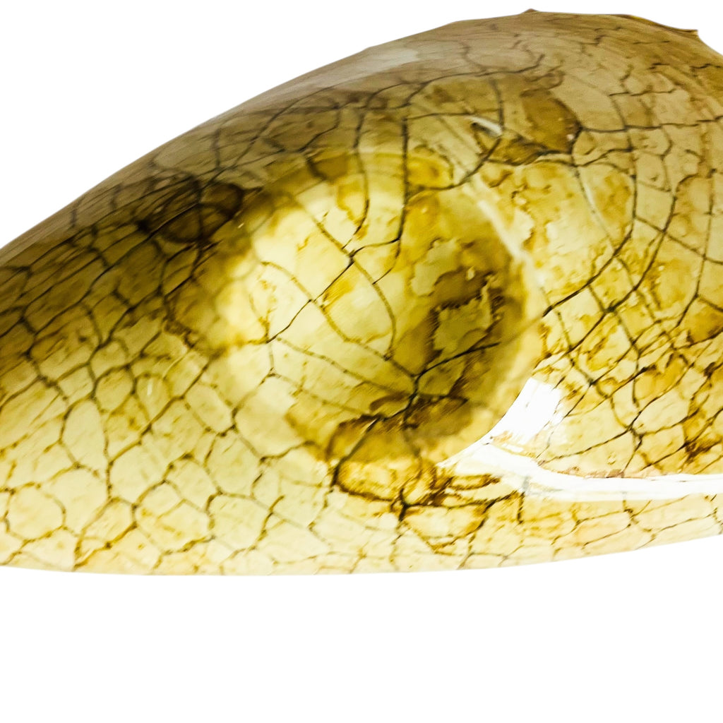 Vintage Hand Blown Art Glass Sea Shell Conch Centerpiece Bowl