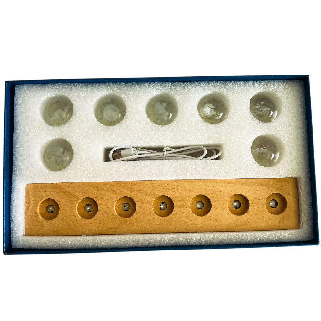 3d Crystal Ball Plants System Crystal Ball with Led Lamp Base