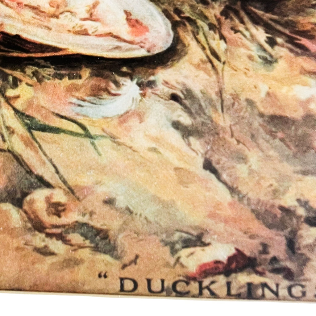 Vintage Frederick Morgan Nursing A Poorly Duckling “DUCKLINGS” Framed