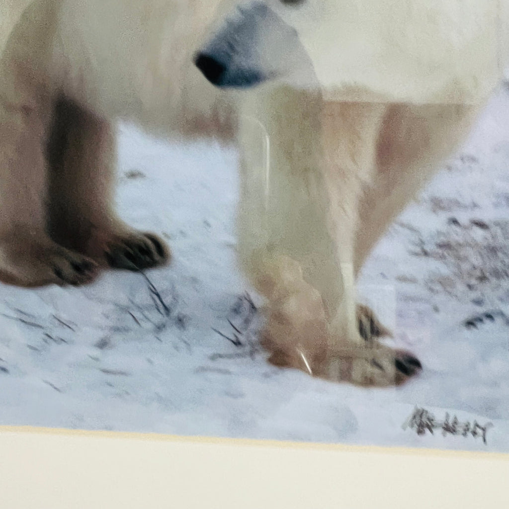 Polar Bear Nature Signed Limited Edition Framed Art Print