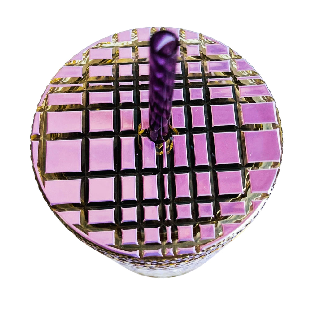 2025 Disneyland 70th Anniversary Starbucks Disney Purple Tumbler