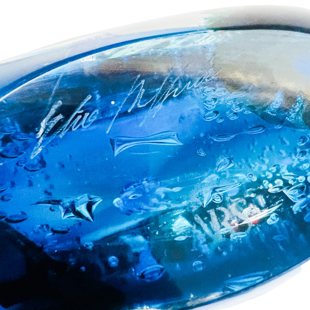 Murano Aquarium Fish Tank Art Glass Signed by Elio Raffaeli Sculpture