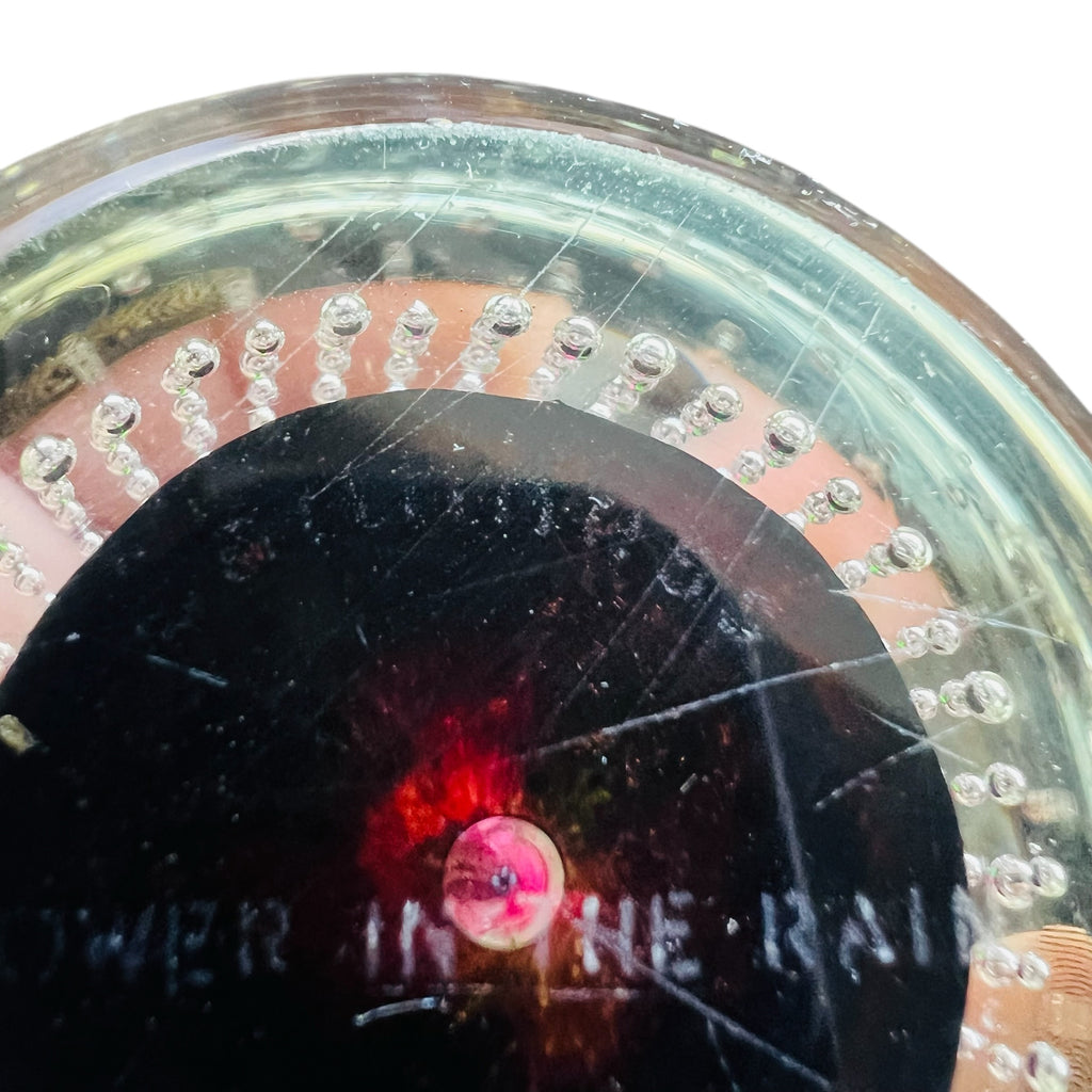 Caithness Glass Flower in the Rain Art Glass Paperweight