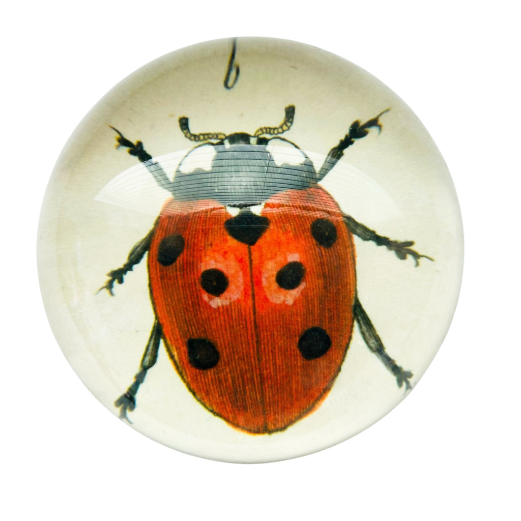 Ladybug Dome Paperweight Signed by Artist John Derain