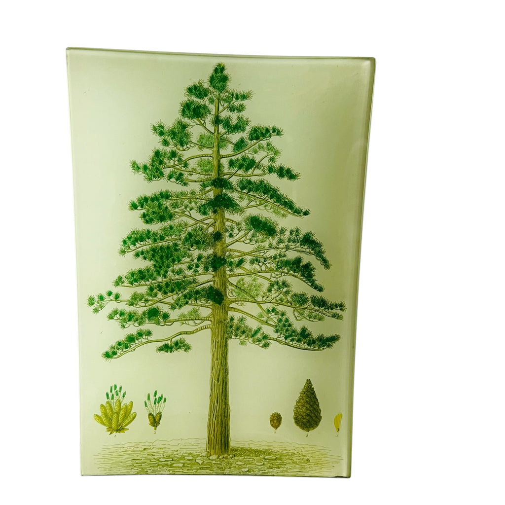 JOHN DERIAN Decoupage Pine Tree Rectangular Signed Tray