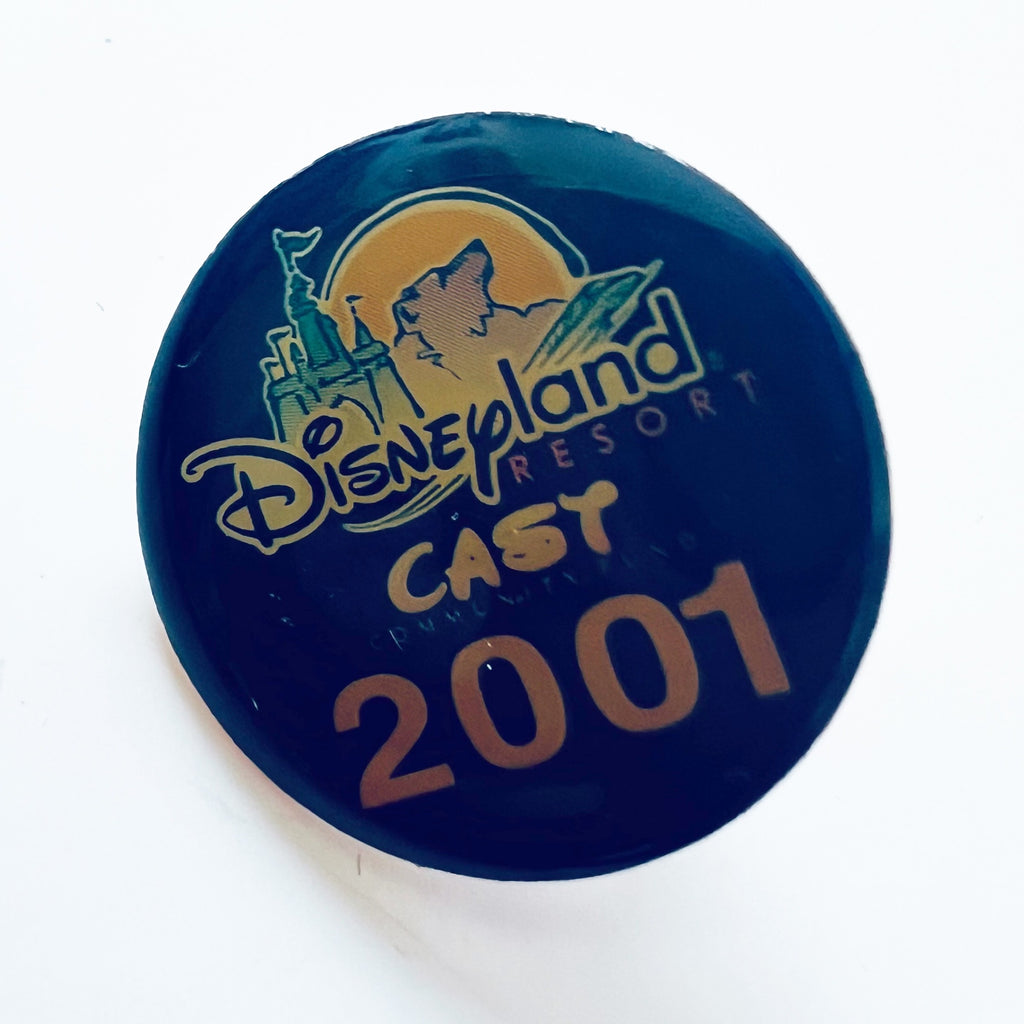 Disney Cast Member 2001 Disneyland Resort Community Fund Pin