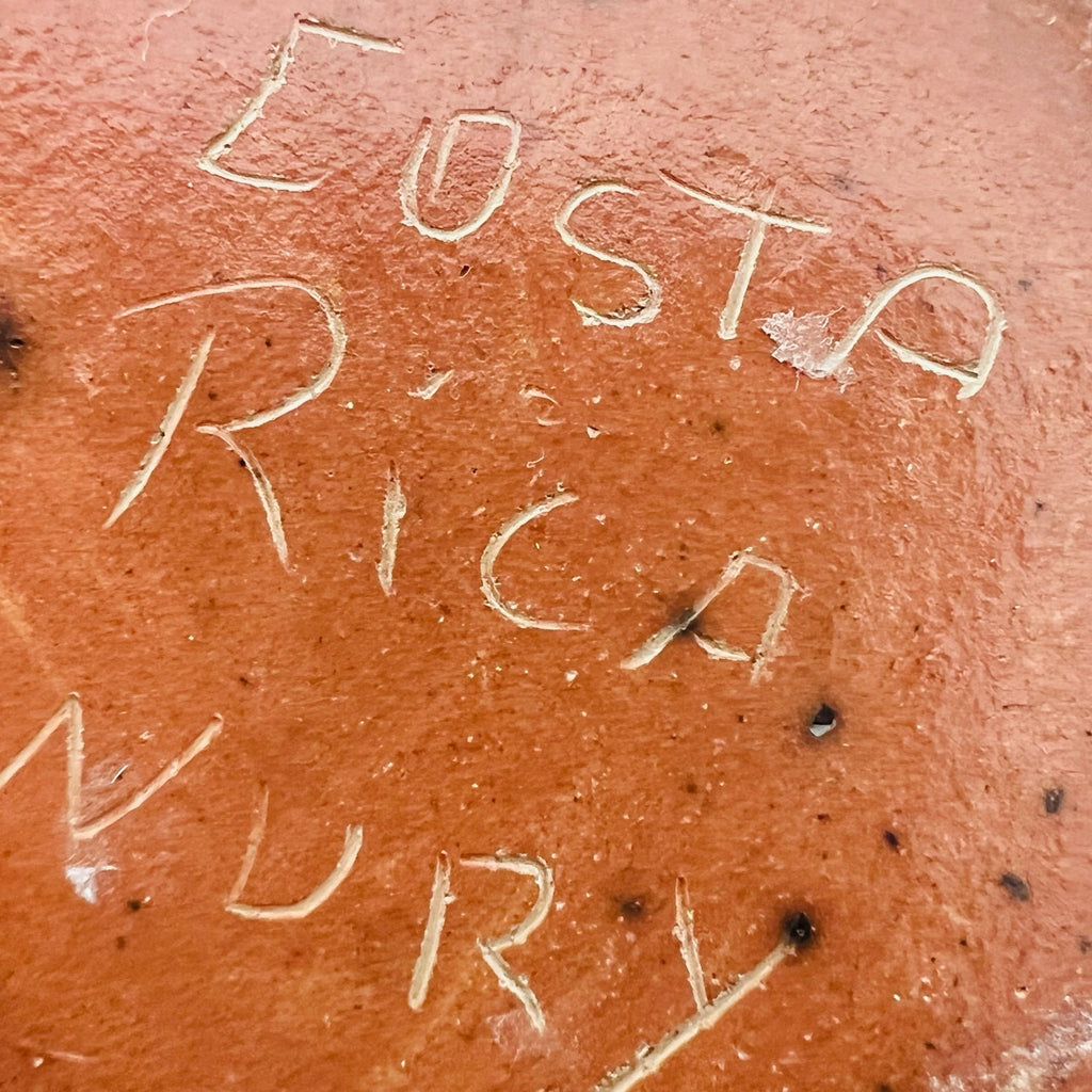 Costa Rica Pottery Carved Lizard Signed Vase