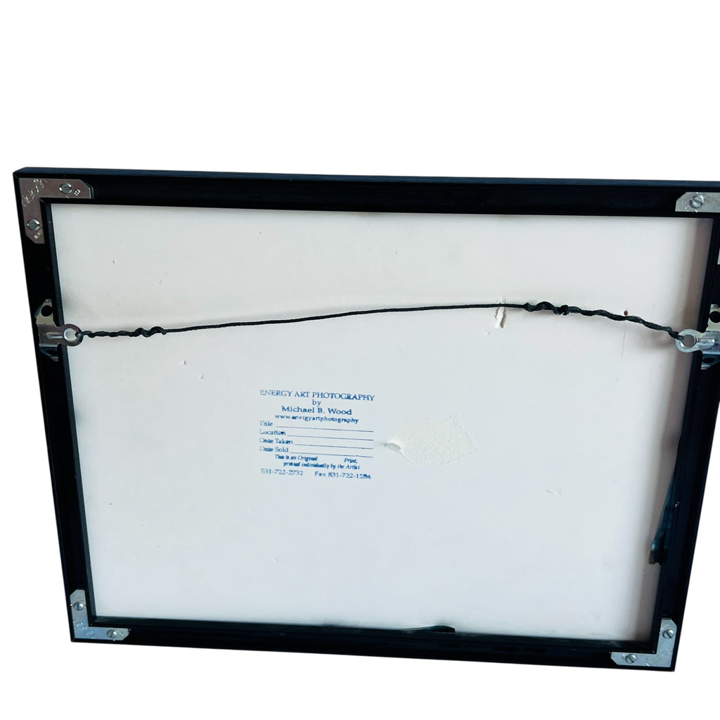 Michael B. Wood Art Photography Print Framed Glass Wall Decor