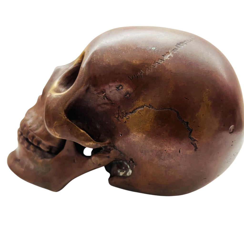 Skull Head Metal Display Decor Statue Figure