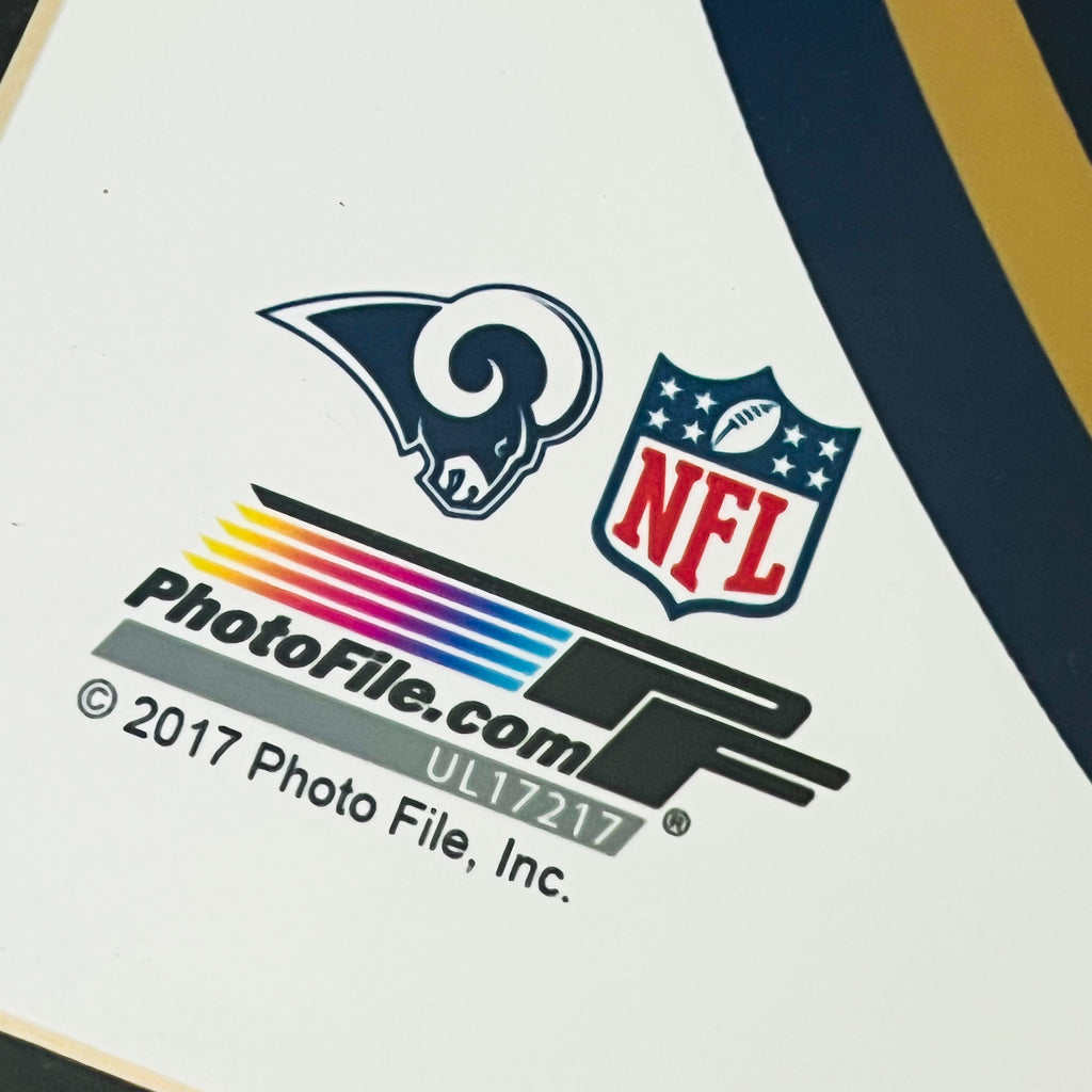 NFL Los Angeles Rams PhotoFile 2017 Matted Framed
