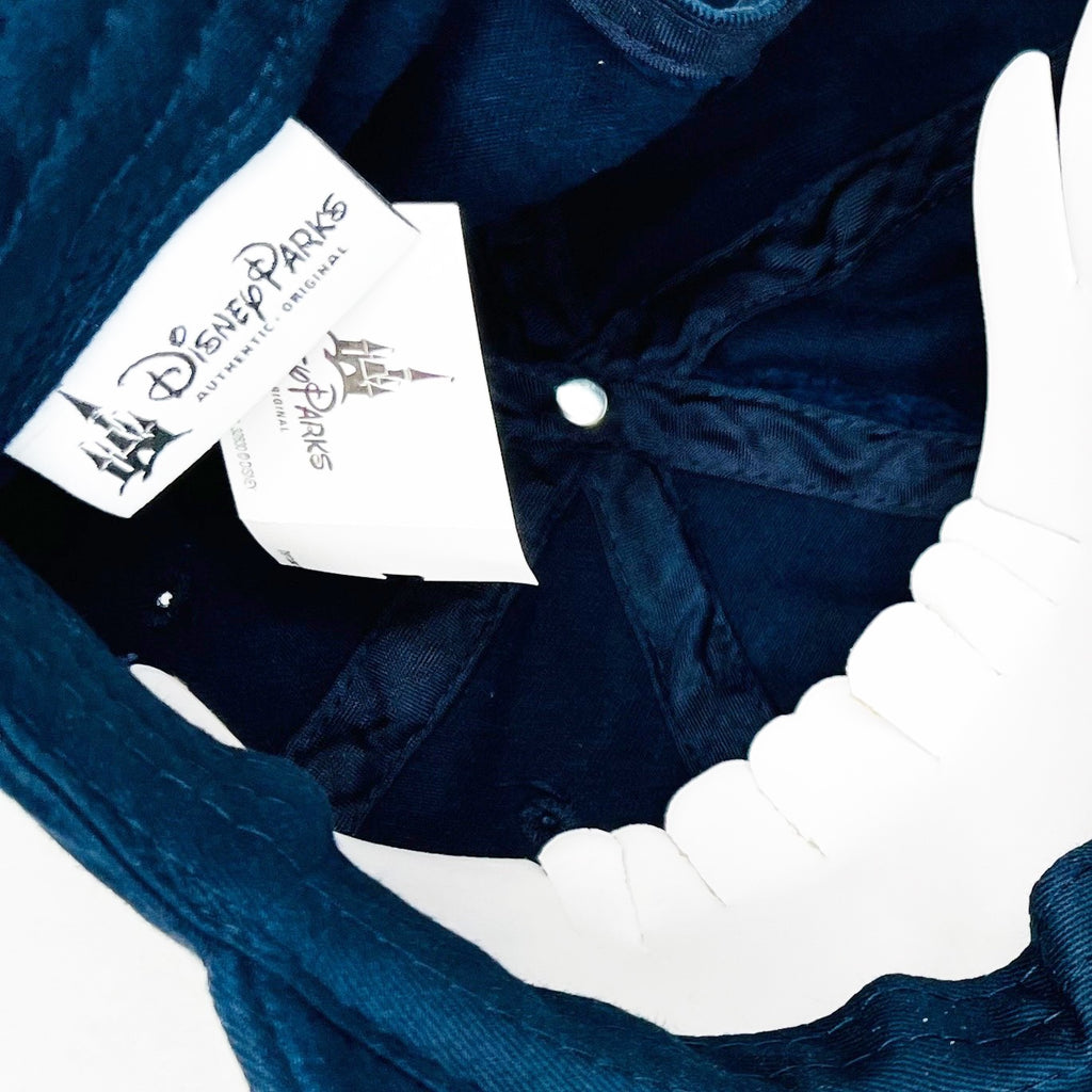 Disney D23 Expo 2019 Splash Mountain 30th Anniversary Hat