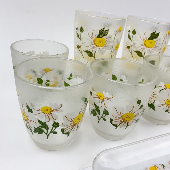 Vintage H. J Stotter Frosted Plastic Floral Glasses Tumbler Plate Tray Daisy Pattern Mid Century