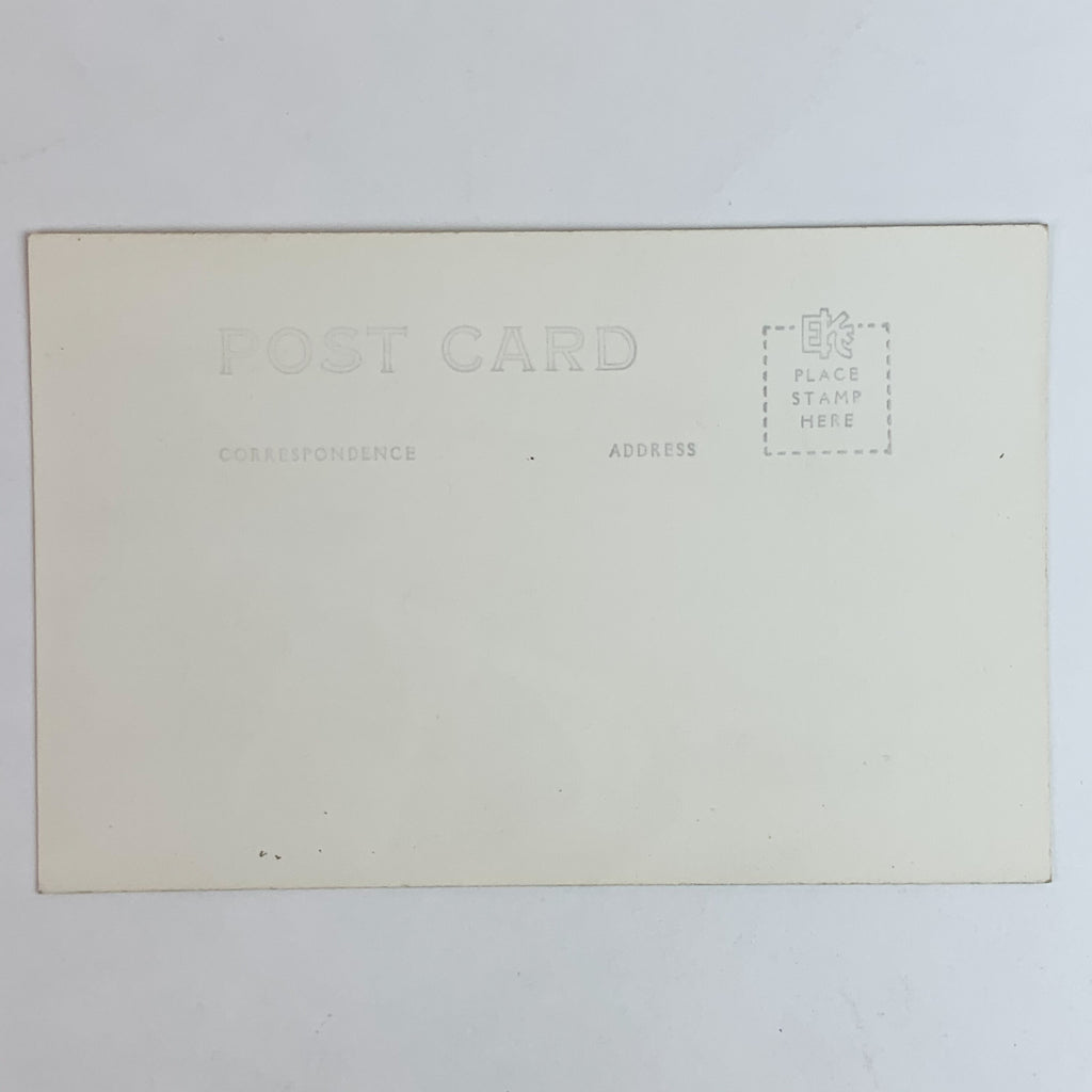 Coolidge Dam Real Photo Postcard AZ Arizona Black and White RPPC