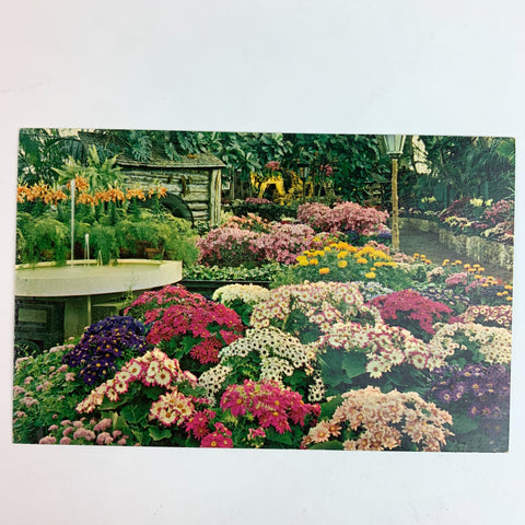 The Jewel Box in Forest Park St.Louis MO February Show Postcard