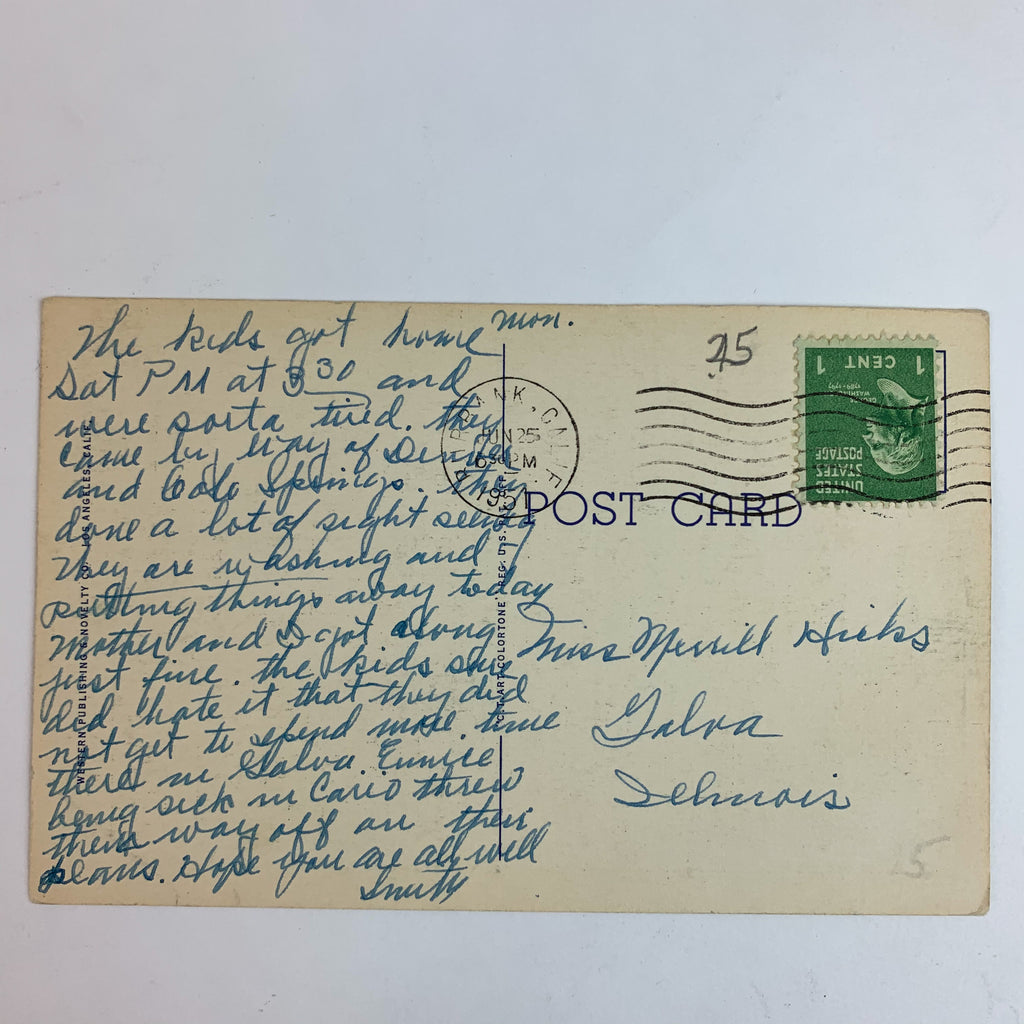 Picking Oranges in Southern California Linen Postcard