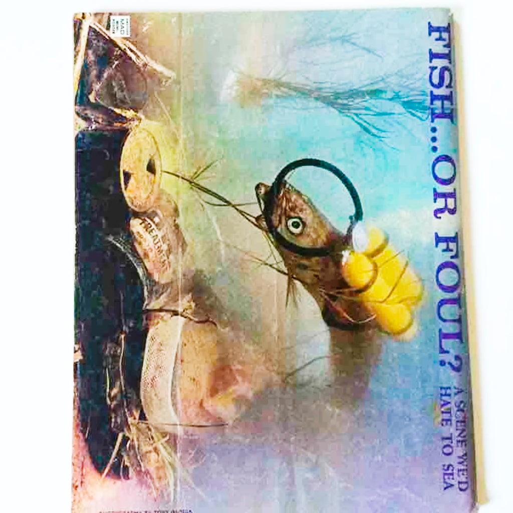 Mad Magazine 1981 Super Special Summer