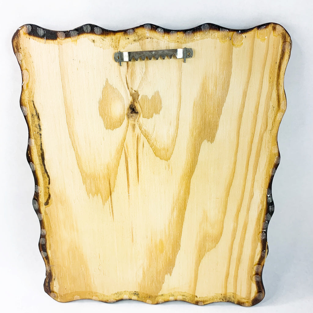 Vintage Native American Girl Art Signed Z Garcia