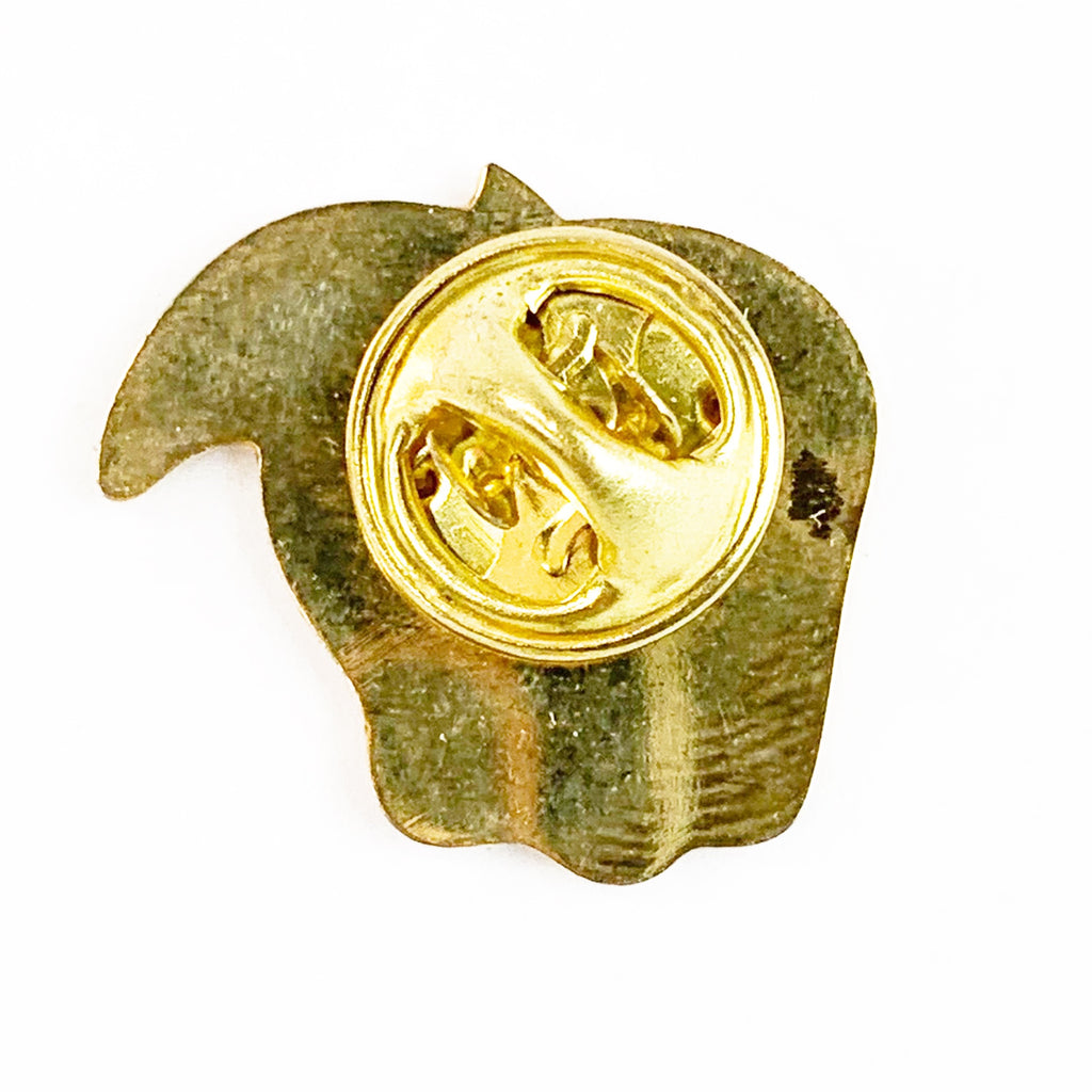 Wenatchee Valley Gyro Apple Shape Enamel Lapel Pin