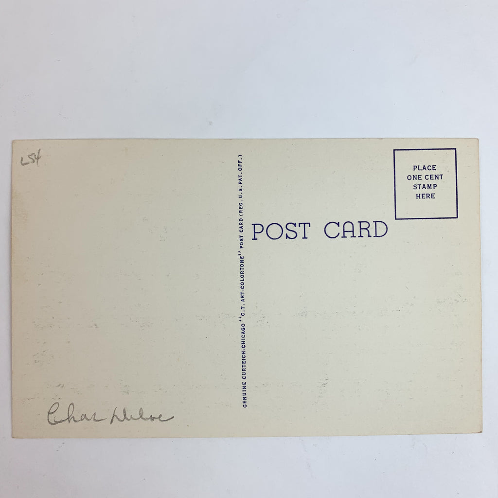 Vintage Greetings from Illinois Large Letters Postcard