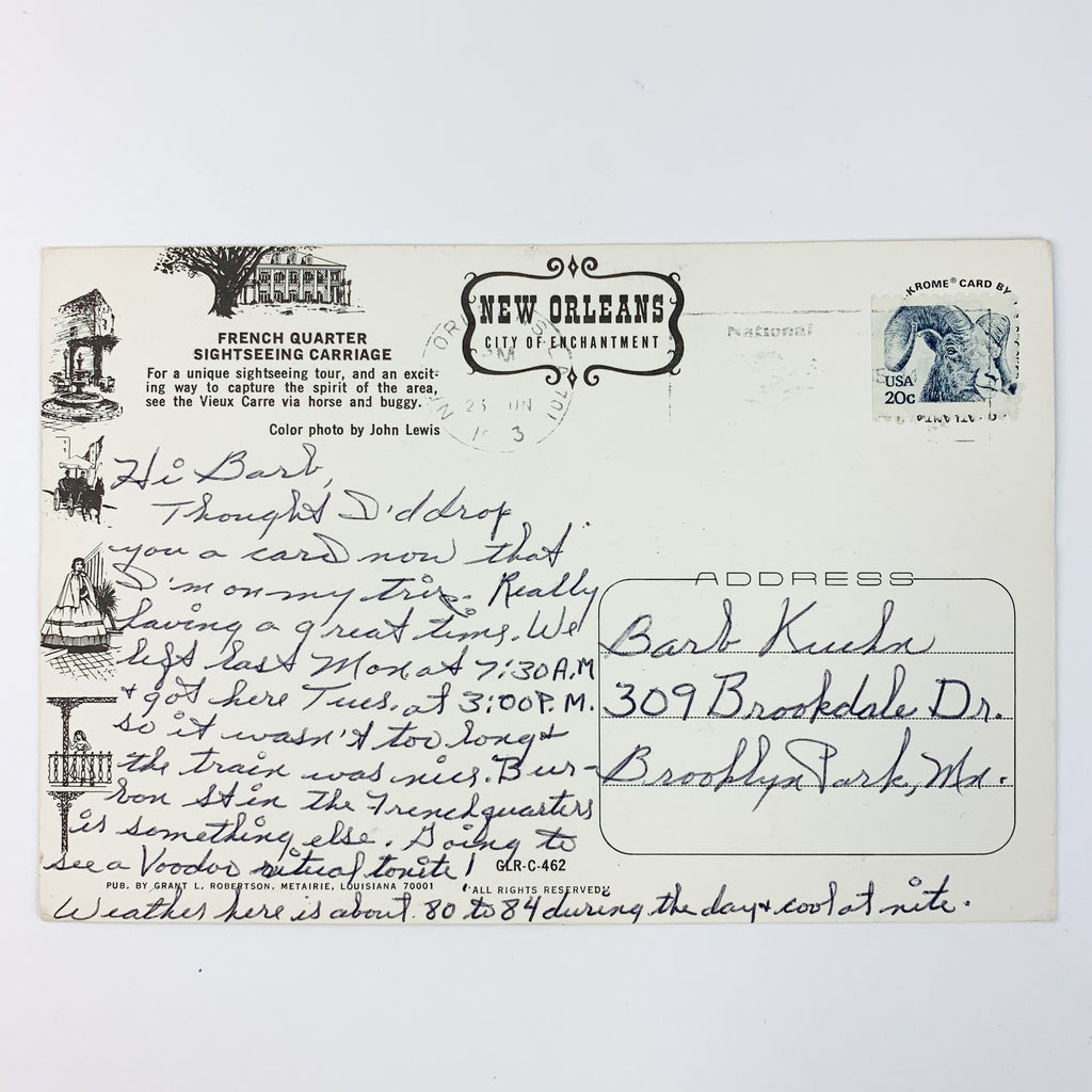 French Quarter Sightseeing Carriage Horse New Orleans Louisiana Postcard