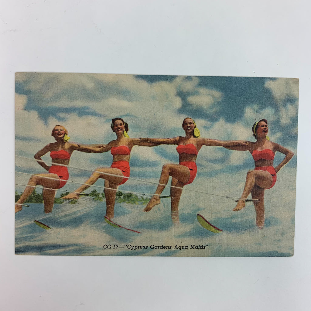 Cypress Garden Aqua Maids  Water Ski Show Florida Postcard