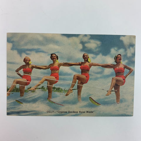 Cypress Garden Aqua Maids  Water Ski Show Florida Postcard