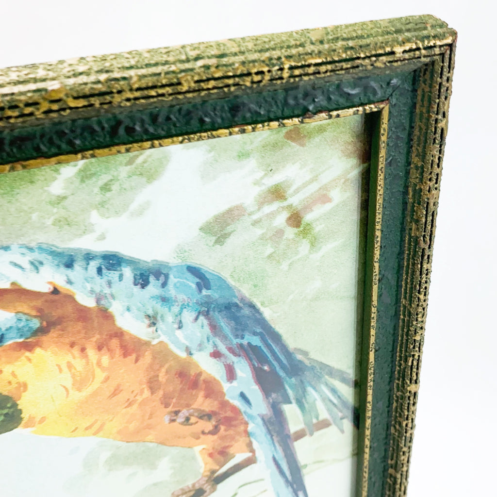 Vintage 1923 Catherine Klein Macaw Parrot Wall Print