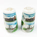 Vintage Beech Bend Souvenir Salt & Pepper Shakers