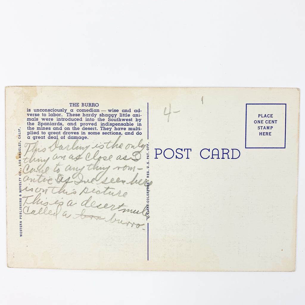 Desert Sweathearts Two Burros Desert Growth Mountains Linen Postcard