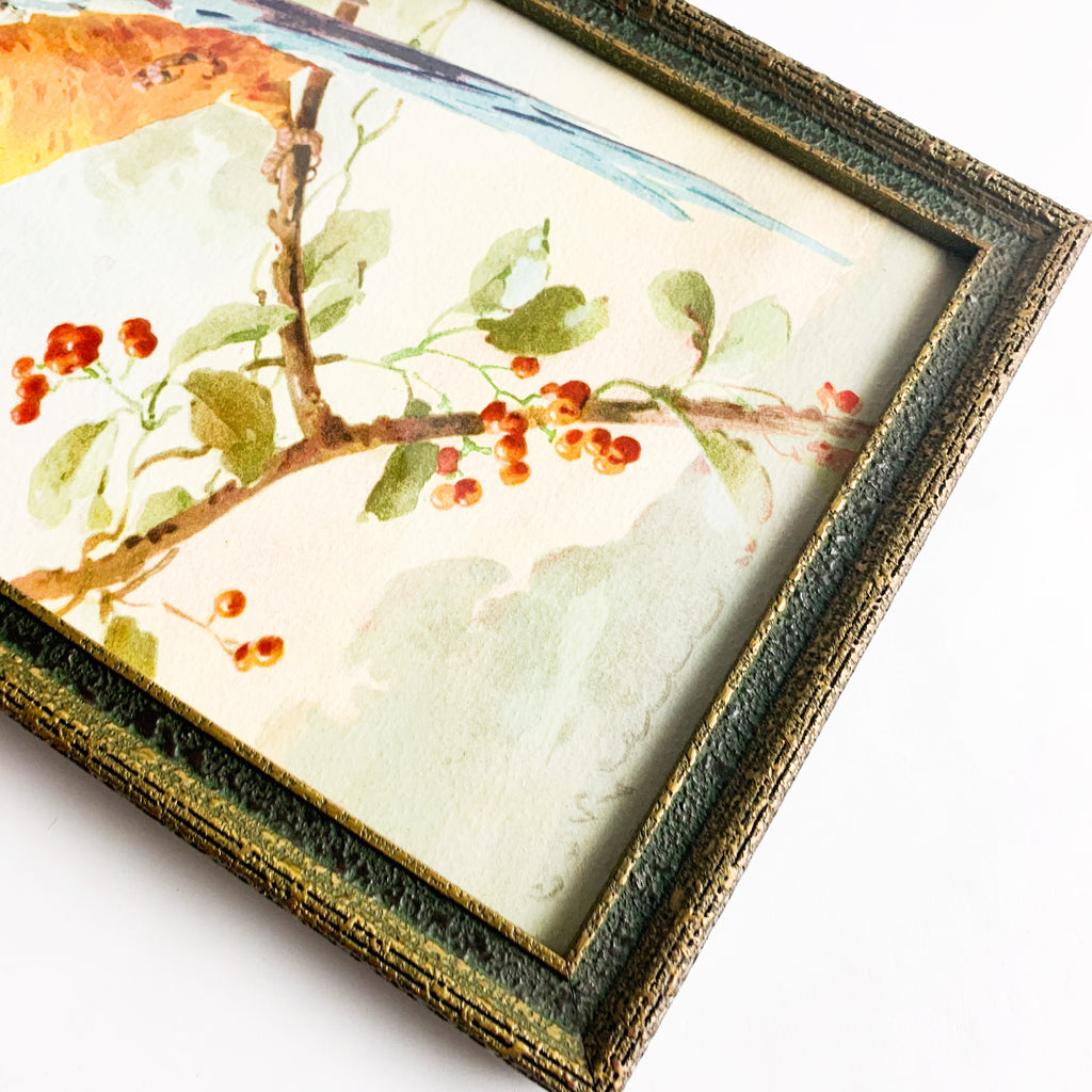 Vintage 1923 Catherine Klein Macaw Parrot Wall Print