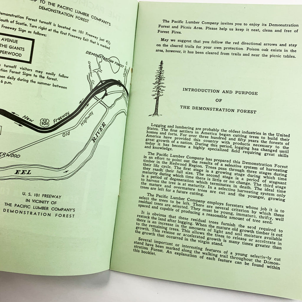 The Pacific Lumber Company Demonstration Forest Redwood Region Pamphlet