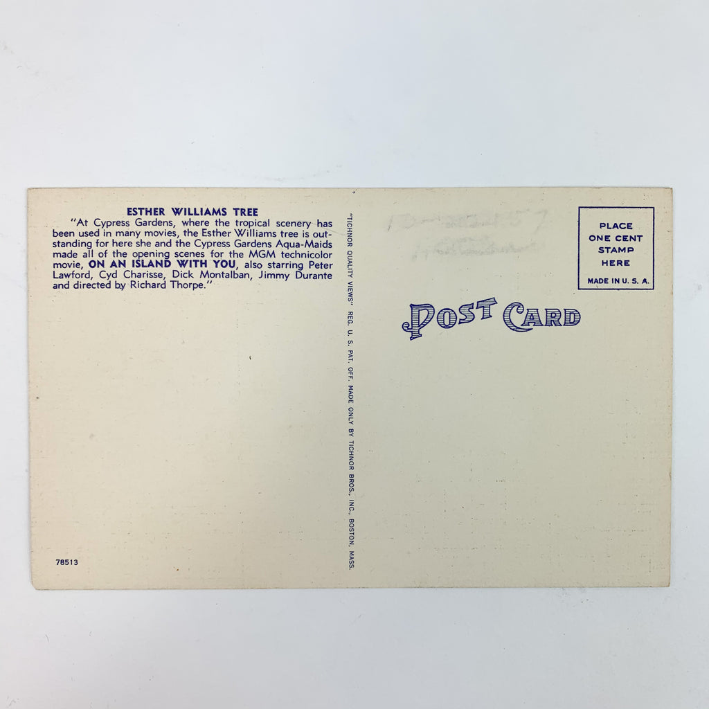 Esther Williams Diving Scene at Cypress Gardens Vintage Linen Postcard