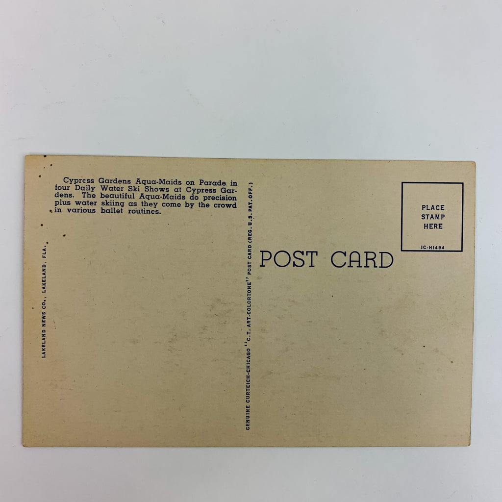 Cypress Garden Aqua Maids Water Ski Show Florida Postcard