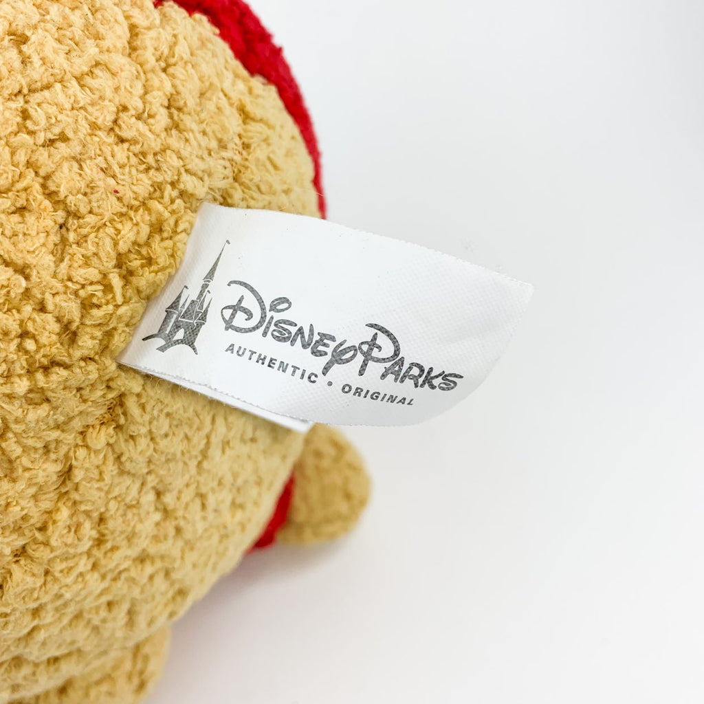 Disney Parks Winnie The Pooh Fuzzy Plush